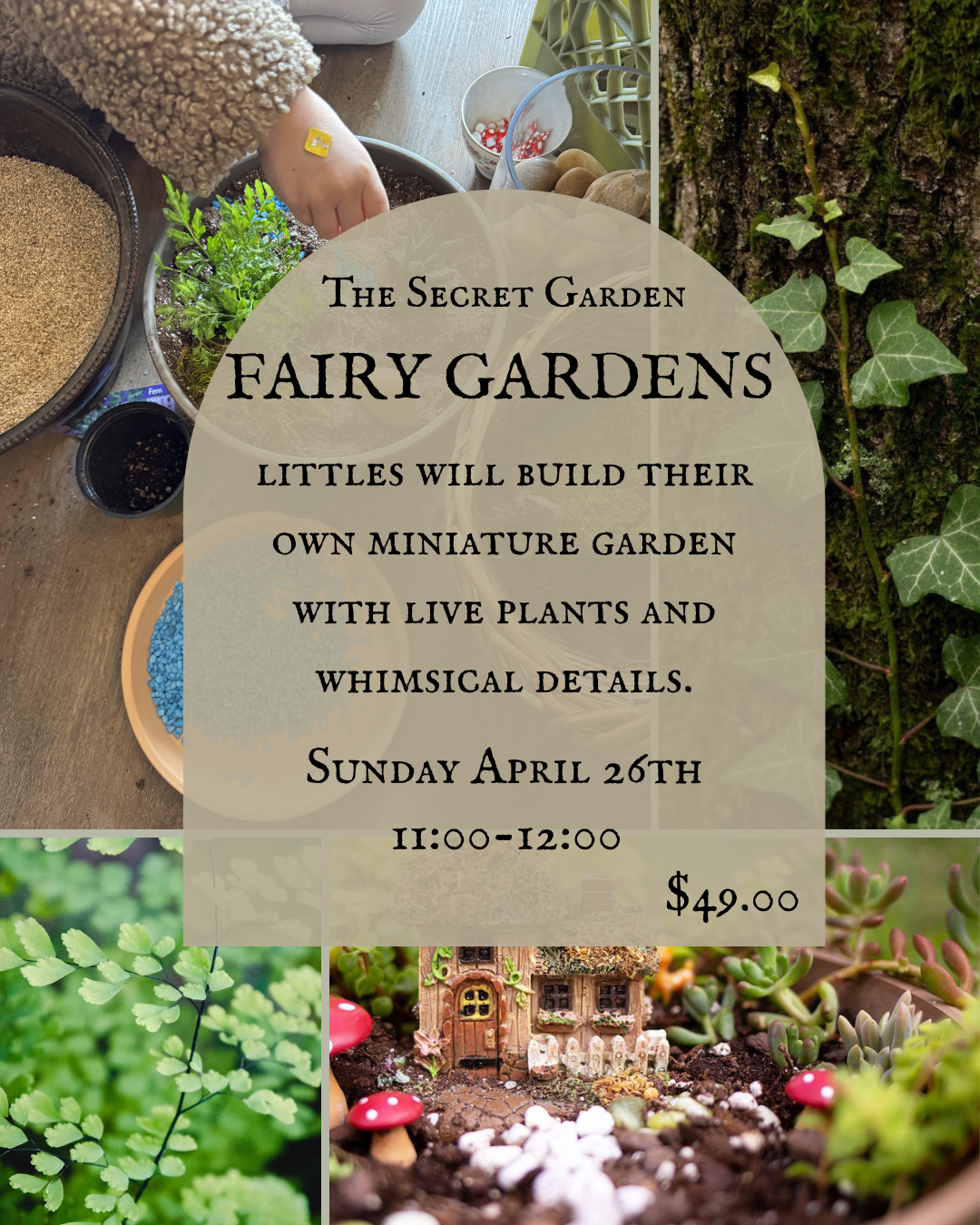 Build a Fairy Garden